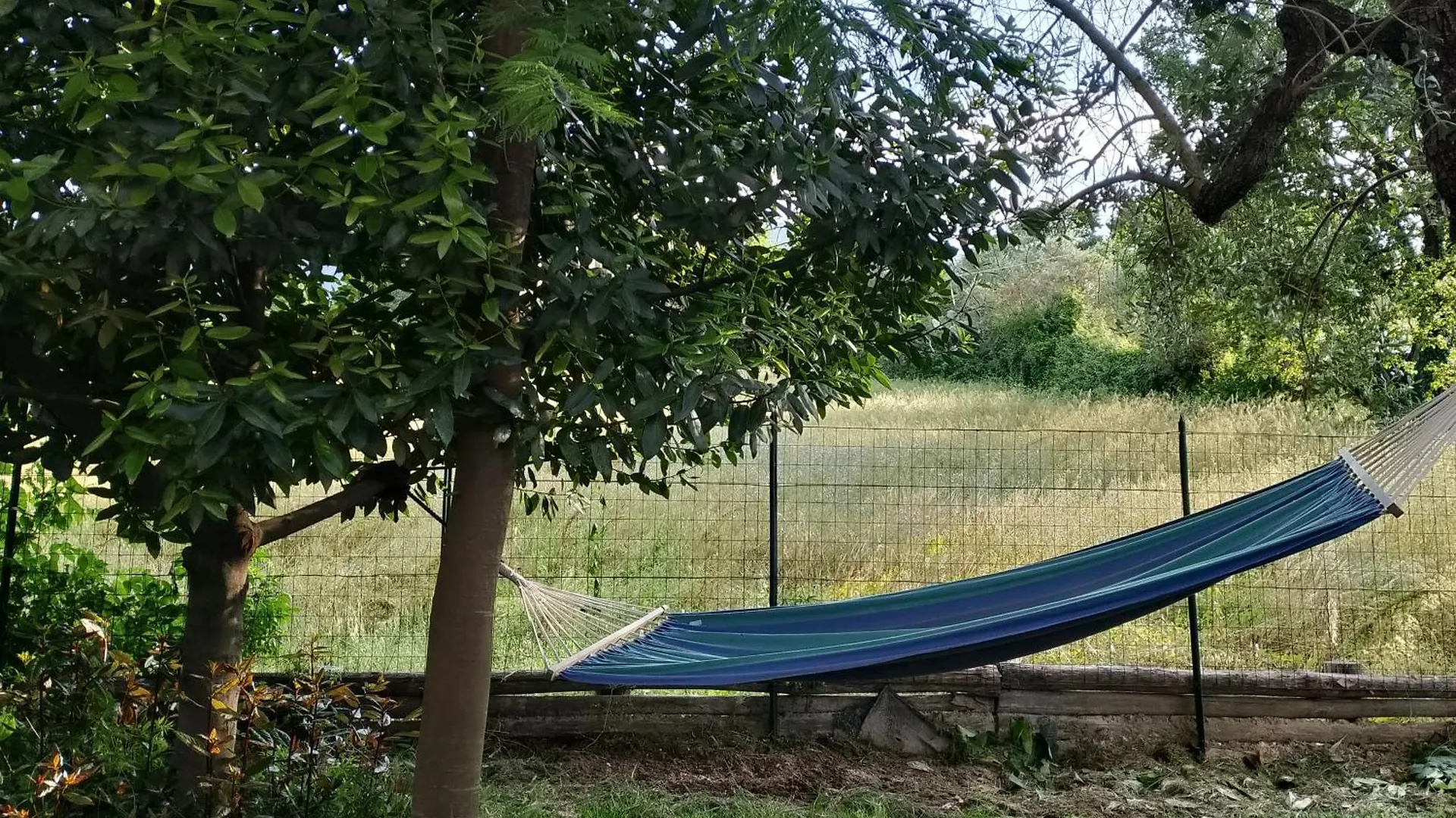 Villa La Tua Dimora Tra Le Cinque Terre E Le Alpi Apuane Sarzana Casa vacanze